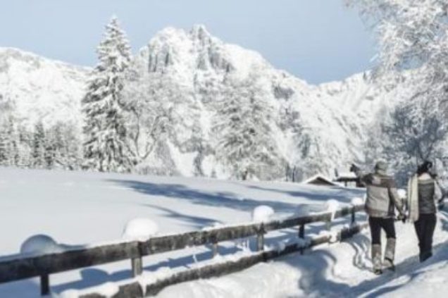 Winter-600